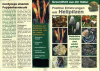 Infobrosch�re Heilpilze / Vitalpilze
