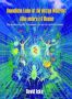 Unendliche Liebe ist die einzige Wahrheit - Buch - David Icke