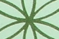 Untersetzer